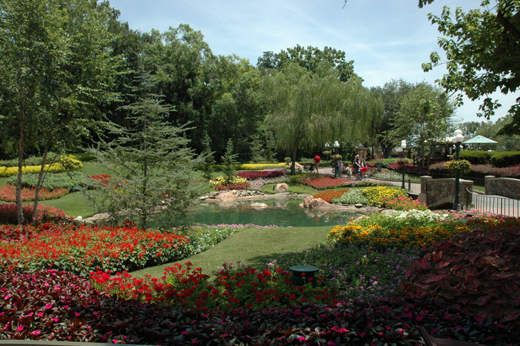 Orlando1 023.JPG